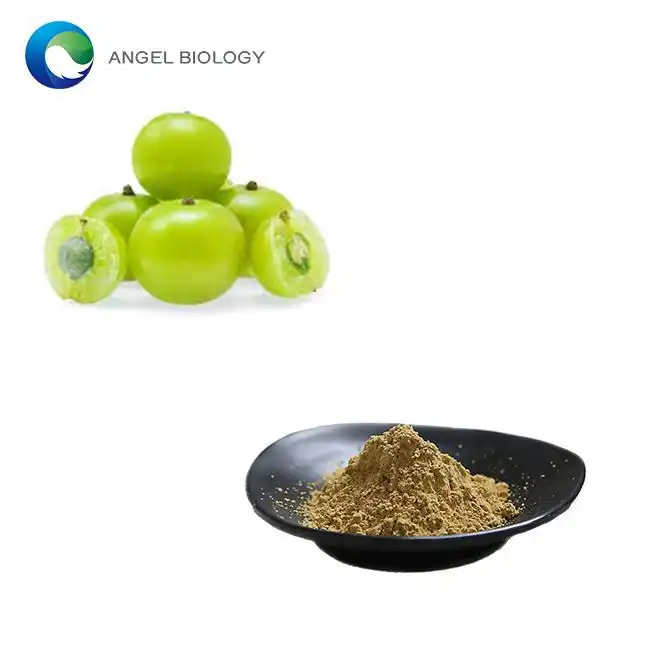 Can Phyllanthus Emblica Extract Help with Hair Growth?